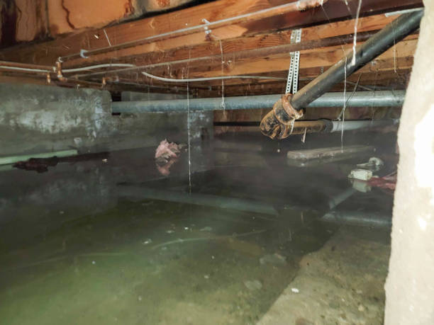 Best Emergency water damage restoration  in Mayfair, CA