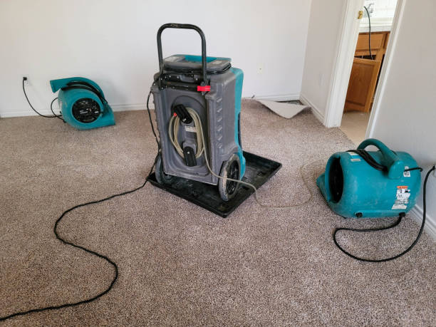 Best Fire Damage Restoration  in Mayfair, CA