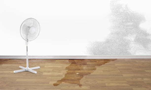 Best Residential water damage restoration  in Mayfair, CA