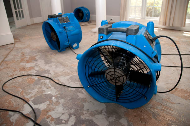 Best Commercial water damage restoration  in Mayfair, CA