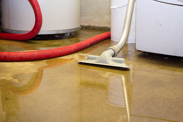 Best Flood damage cleanup  in Mayfair, CA
