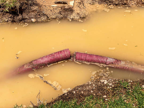 Best Water damage cleanup near me  in Mayfair, CA